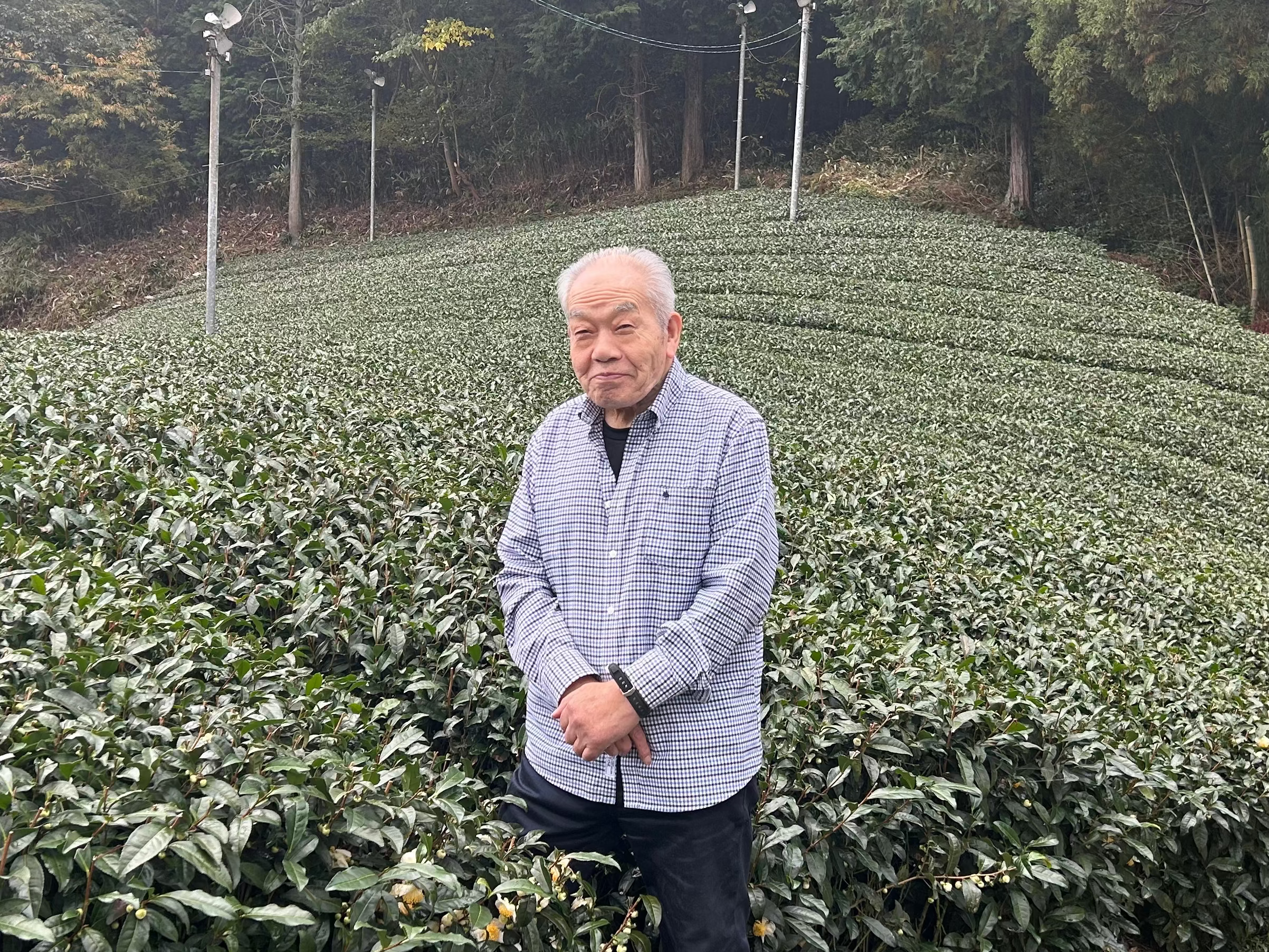 Teruji