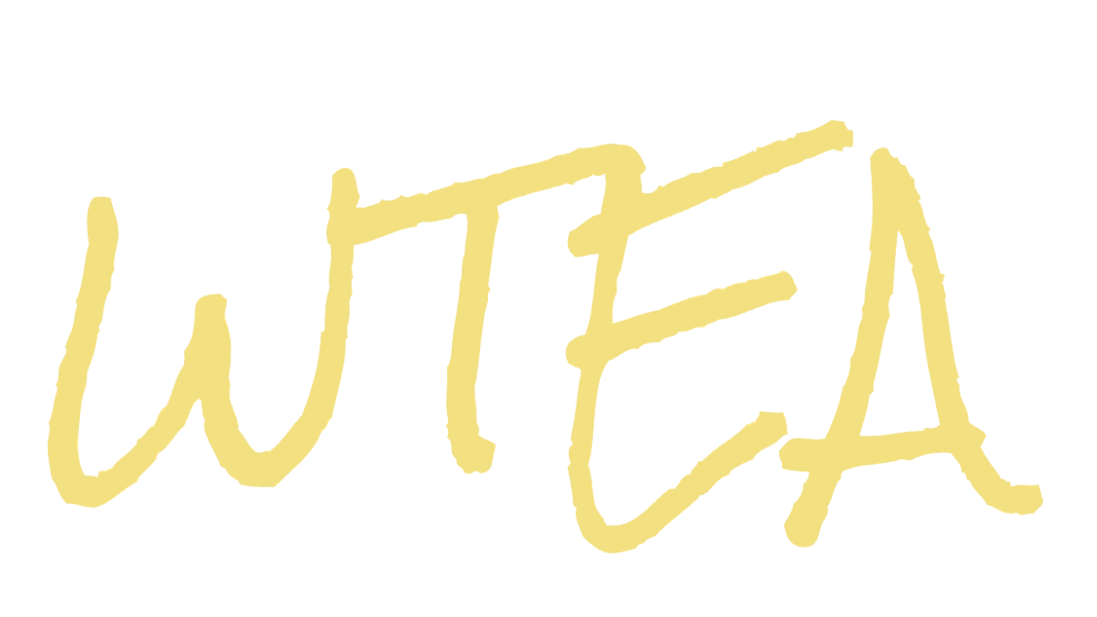 WTEA - Direct Trade Japanese Tea Platform